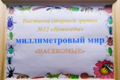 millimitroviy_mir_1
